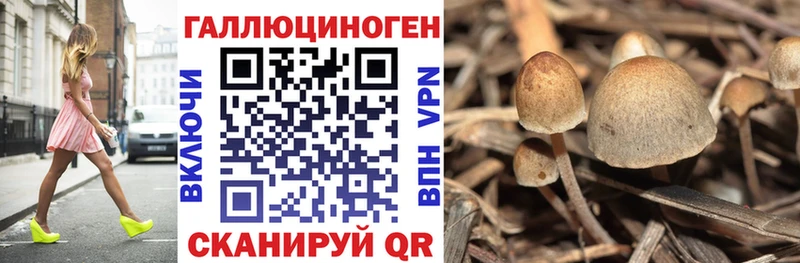 Купить где  Нерехта  Галлюциногенные грибы Magic Shrooms 